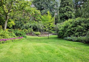 Optimiser l'expérience du jardin à Le Frasnois