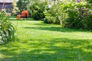 travaux jardin et paysage Le Frasnois